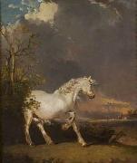 A horse in a landscape startled by lightning